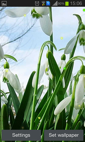 Perce-neige de printemps - télécharger gratuit un fond d'écran animé Plantes pour le portable.
