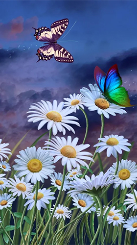 Télécharger Eté: Fleurs et papillons  , fond d'écran animé gratuit pour Android sur le bureau. 