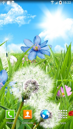 Fleurs d`été   - télécharger gratuit un fond d'écran animé Plantes pour le portable.