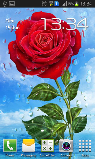 Pluie d'été: Fleurs  - télécharger gratuit un fond d'écran animé Paysage pour le portable.