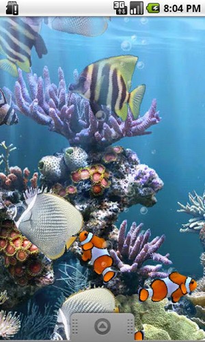 Le vrai aquarium - télécharger gratuit un fond d'écran animé Aquariums pour le portable.