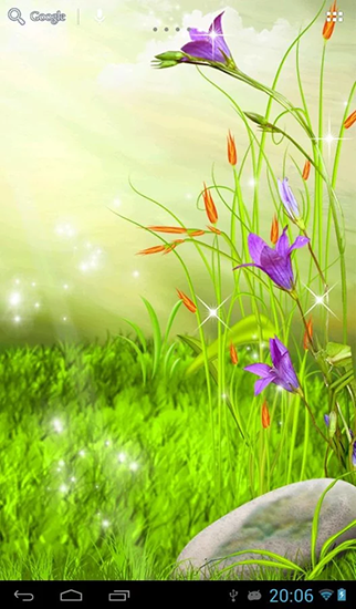 Fleurs brillantes - télécharger gratuit un fond d'écran animé Plantes pour le portable.