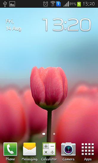Tulipe 3D - télécharger gratuit un fond d'écran animé Interactif pour le portable.
