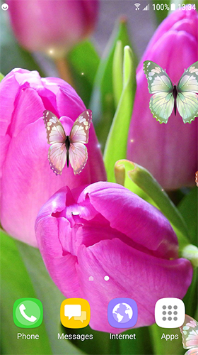 Télécharger Tulipes , fond d'écran animé gratuit pour Android sur le bureau. 