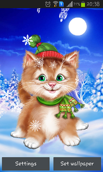 Chat d'hiver  - télécharger gratuit un fond d'écran animé Vacances pour le portable.