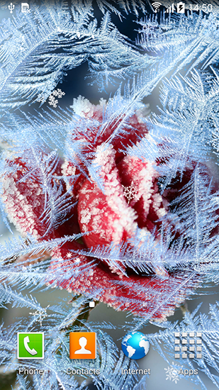 Fleurs d'hiver  - télécharger gratuit un fond d'écran animé Paysage pour le portable.