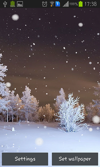 Forêt d'hiver  - télécharger gratuit un fond d'écran animé Paysage pour le portable.