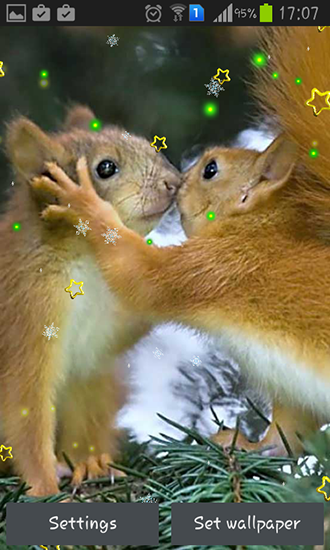 Ecureuil d'hiver  - télécharger gratuit un fond d'écran animé pour le portable.