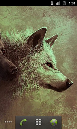 Les loups HD - télécharger gratuit un fond d'écran animé Animaux pour le portable.