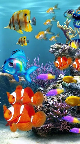 La capture d'écran Aquarium  pour le portable et la tablette.