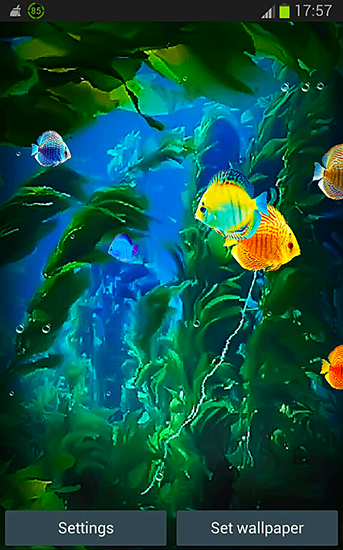 Télécharger Aquarium 3D, fond d'écran animé gratuit pour Android sur le bureau. 