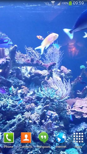 Télécharger Aquarium HD 2, fond d'écran animé gratuit pour Android sur le bureau. 