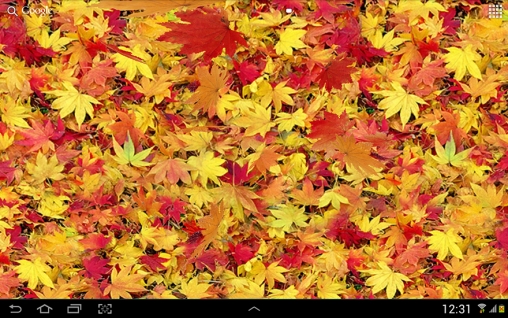 Télécharger Feuilles d'automne 3D, fond d'écran animé gratuit pour Android sur le bureau. 