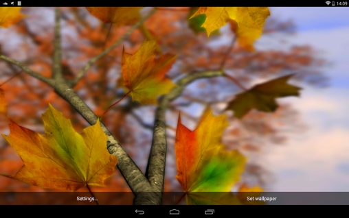 Télécharger Feuilles d'automne 3D, fond d'écran animé gratuit pour Android sur le bureau. 