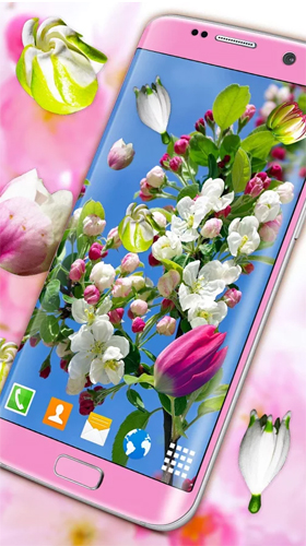 La capture d'écran Fleurissants 3D  pour le portable et la tablette.