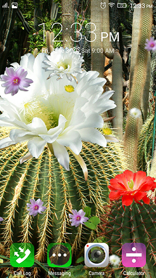 Télécharger Fleurs du cactus, fond d'écran animé gratuit pour Android sur le bureau. 