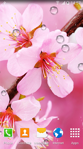 La capture d'écran Cerisier en floraison  pour le portable et la tablette.
