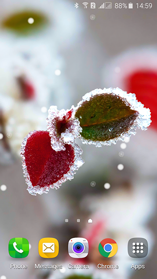 Télécharger Beauté congelée: Conte d'hiver, fond d'écran animé gratuit pour Android sur le bureau. 