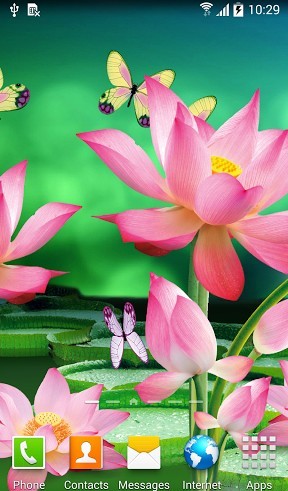 Télécharger Fleurs de lotus , fond d'écran animé gratuit pour Android sur le bureau. 