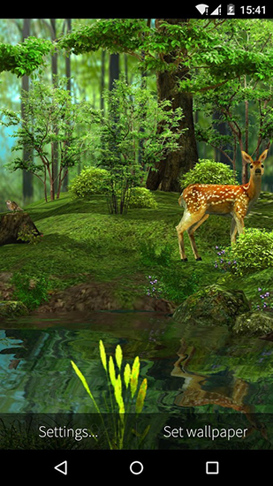 Télécharger Nature 3D, fond d'écran animé gratuit pour Android sur le bureau. 