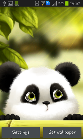 Télécharger Panda, fond d'écran animé gratuit pour Android sur le bureau. 