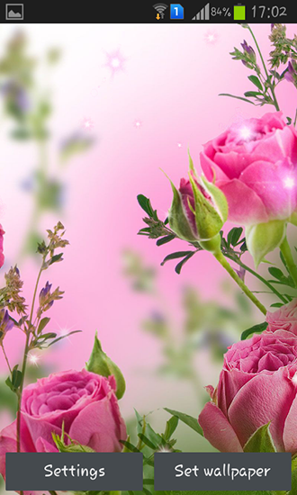 Télécharger Fleurs roses , fond d'écran animé gratuit pour Android sur le bureau. 