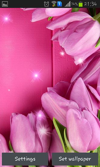 Télécharger Tulipes roses , fond d'écran animé gratuit pour Android sur le bureau. 