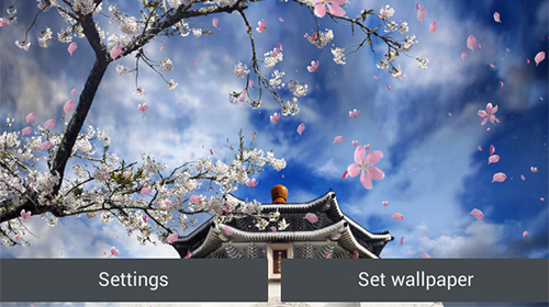 La capture d'écran Jardin de sakura  pour le portable et la tablette.