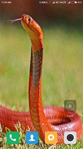 La capture d'écran Serpent HD  pour le portable et la tablette.