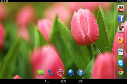 Télécharger Pluie de printemps, fond d'écran animé gratuit pour Android sur le bureau. 
