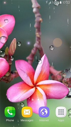 La capture d'écran Fleurs tropiques  pour le portable et la tablette.