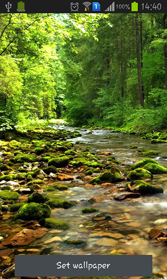 Télécharger Beau fleuve de forêt , fond d'écran animé gratuit pour Android sur le bureau. 