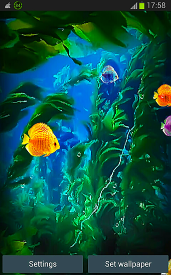 La capture d'écran Aquarium 3D pour le portable et la tablette.