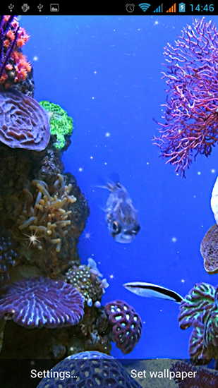 La capture d'écran Aquarium pour le portable et la tablette.