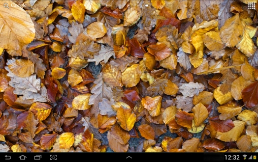 La capture d'écran Feuilles d'automne 3D pour le portable et la tablette.