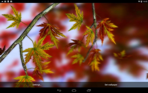 La capture d'écran Feuilles d'automne 3D pour le portable et la tablette.