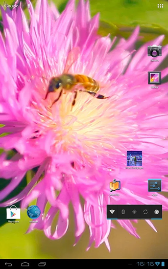 La capture d'écran Abeille sur la fleur du trèfle 3D pour le portable et la tablette.