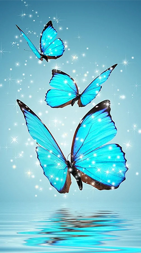 Papillons  