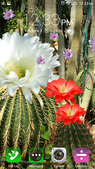 La capture d'écran Fleurs du cactus pour le portable et la tablette.