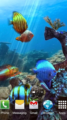 Aquarium avec les amphiprions 3D 