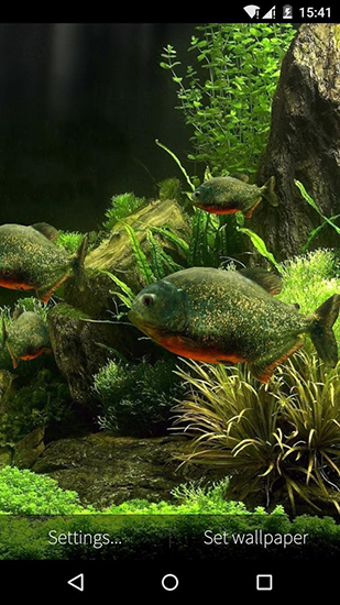 La capture d'écran Aquarium avec les poissons 3D pour le portable et la tablette.