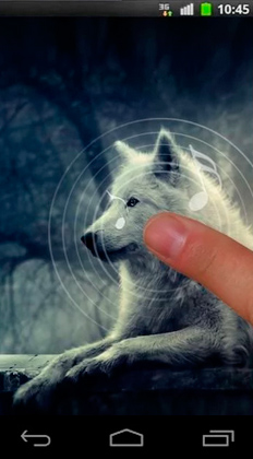 La capture d'écran La nuit des loups pour le portable et la tablette.