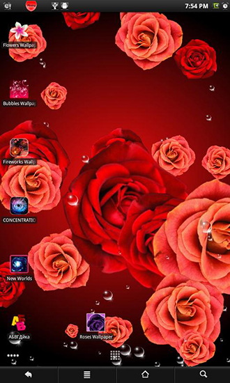 La capture d'écran Roses 2  pour le portable et la tablette.
