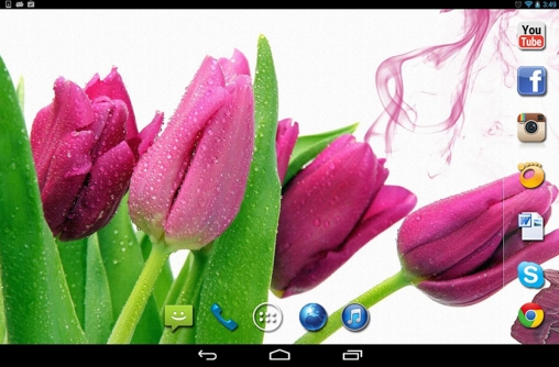 La capture d'écran Pluie de printemps pour le portable et la tablette.
