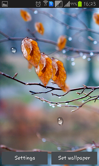 Gouttes de pluie d'automne