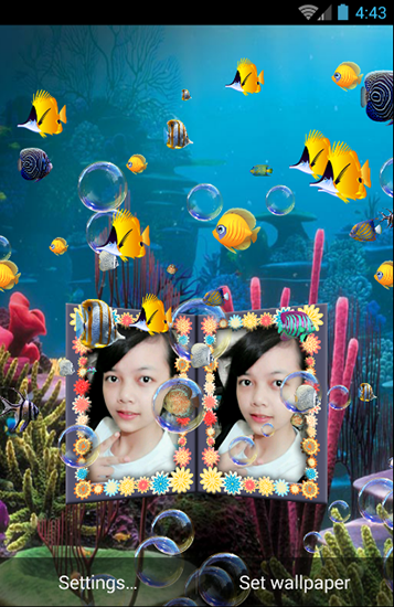 Photos dans l'aquarium 