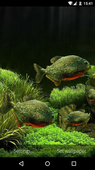 Aquarium avec les poissons 3D