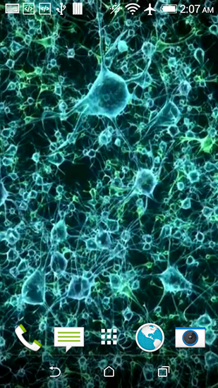 Neurone 