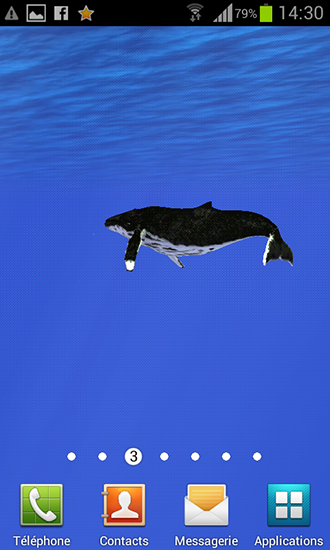 Océan: Baleine