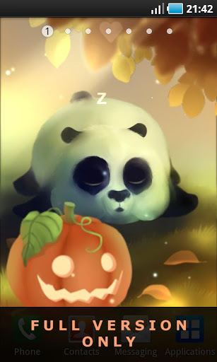 Le petit panda